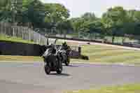 Lower Group Black Bikes